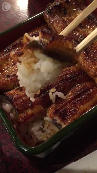 ふわふわ絶品うなぎ！！行列のできる老舗うなぎ屋さん、三島の『桜家』