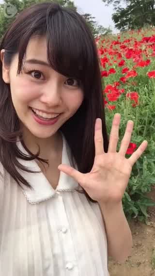 満開のポピー花畑の美しさに感動！昭和記念公園のフラワーフェスティバル