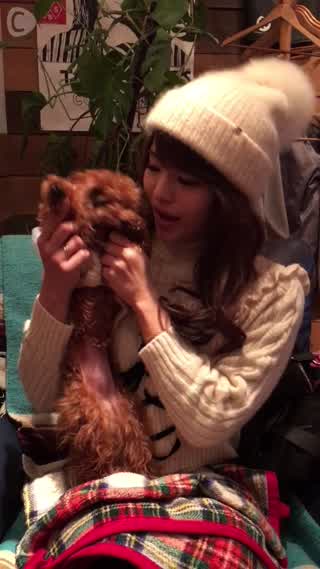 大好きなカフェ！BONDI café