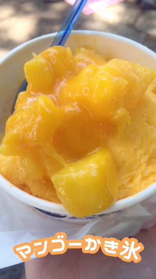 ばぶかぼん、台湾フェスタ2016に行ってきた！