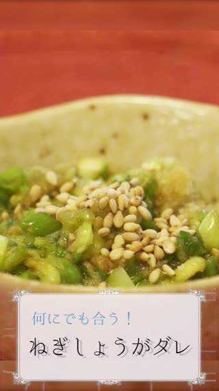 ねぎしょうがダレ