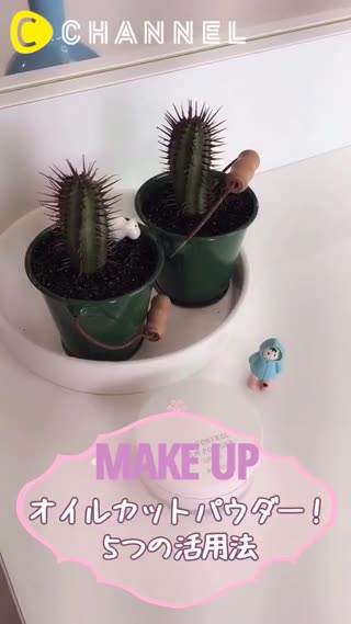 韓国大人気コスメ❤️オイルカットパウダー！5つの活用法