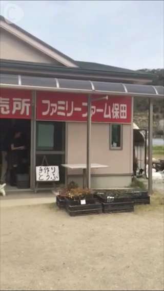 千葉南房総へいちご狩りに行ったよ♪