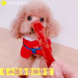 C ChannelX全家 寵物食品-啾嚕肉泥系列+我有肉系列