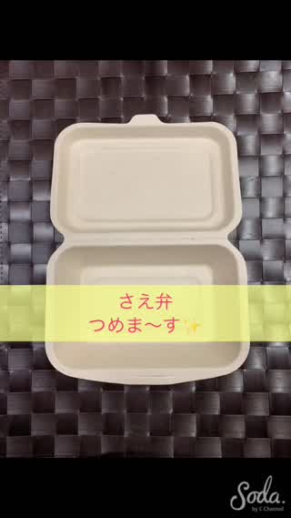 さえ弁の詰め方 デリ弁当編