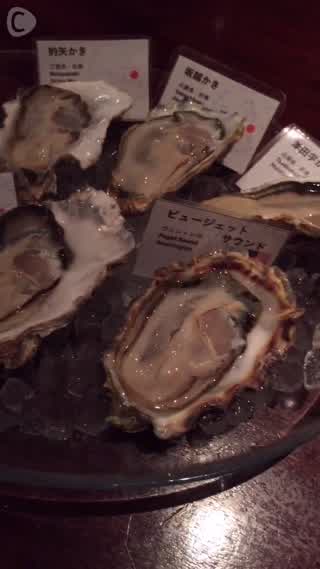 銀座で牡蠣を食べ尽くす♪