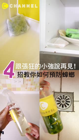 【跟張狂的小強說再見! 4招教你如何預防蟑螂】