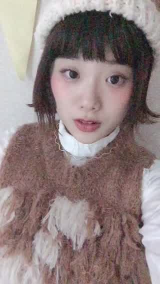 まるでギズモ！ばぶかぼん、モフモフのベストを紹介