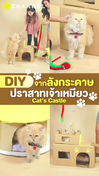 ปราสาทเจ้าเหมียว