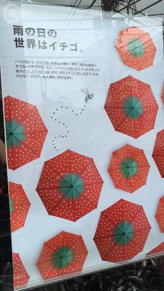 コレで雨の日もHAPPY♡新アイテム登場！原宿FLYING TIGER