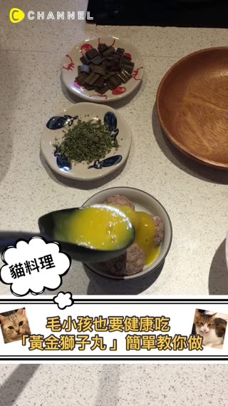【毛小孩也要健康吃！『黃金獅子丸』 讓達人來教你 】