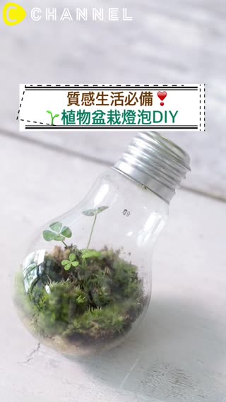 質感生活必備♡植物盆栽燈泡DIY