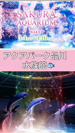 神秘的なライトアップがロマンチック大人気の水族館。「アクアパーク品川」