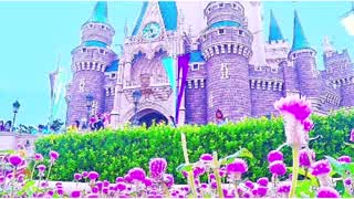 【Dハロ仮装】オーロラ姫×白雪姫。Goproムービー！