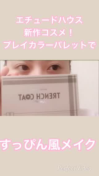 エチュードハウスの新作パレットを使ってすっぴん風メイクしてみたよー！
