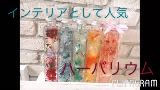 インテリアとして人気なハーバリウム(•‾‾•)