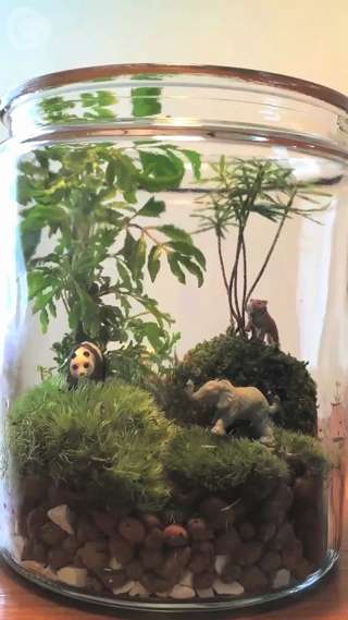 空き瓶でテラリウムを作ろう！我が家に癒やしインテリアを