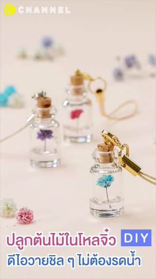 ปลูกต้นไม้ในโหลจิ๋ว 