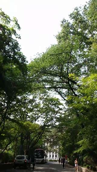 [Korea] Cold noodles for hot summer