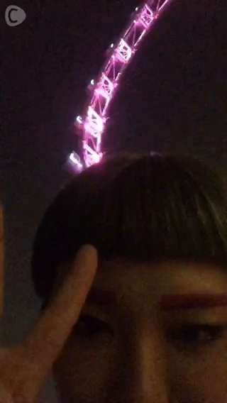 最高到達地点１６５メートル！シンガポールでアジア一位の観覧車