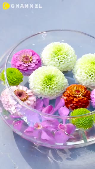 圓圓的好可愛~水面漂浮花藝♡