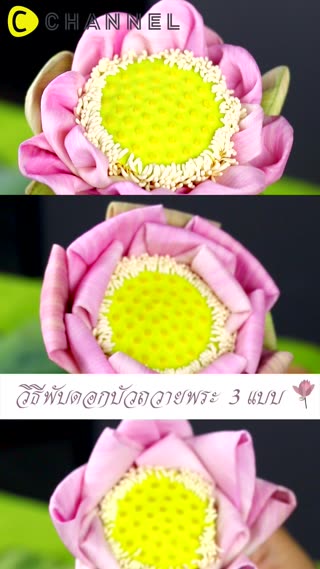 พับดอกบัวถวายพระ 3 แบบ