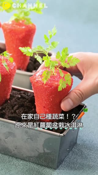 在家自己種蔬菜！？原來是紅蘿蔔盆栽冰淇淋