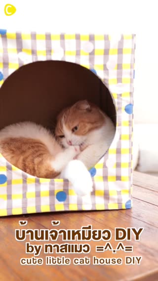 บ้านเจ้าเหมียว DIY  by ทาสแมว  =^.^=