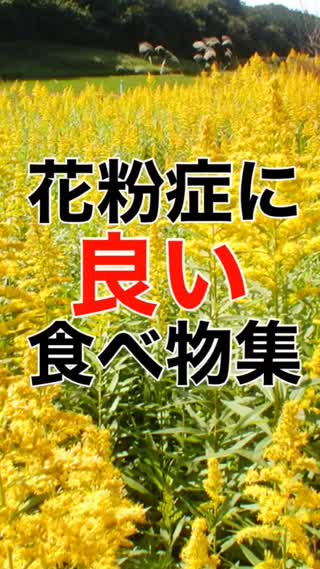 花粉症に"良い"食べ物集