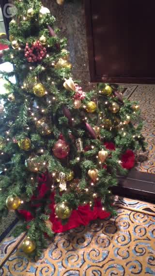 Garden Lounge - Hotel New Otani