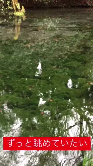 熊本復興支援へ 池山水源へ