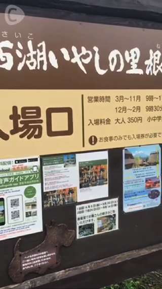 Feel like time-traveling！ Experiencing a