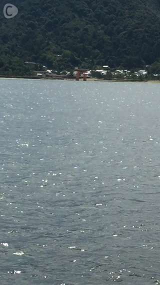 【番外編】宮島るりかの広島便り～宮島に到着～