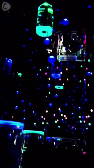 雨の日は水族館へ行こう！@EPSONアクアパーク品川