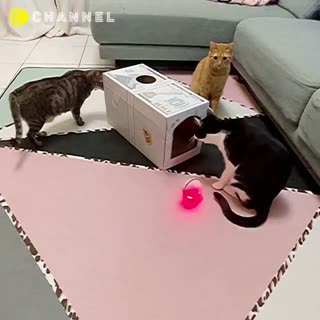 C CHANNELＸ全家寵物玩具-貓抓板+感應球