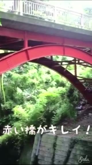 渋谷から20分で行ける！都会の中の自然あふれる等々力渓谷に行ってきました！