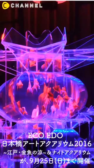 日本橋で出会う、江戸時代から続く“金魚の涼”