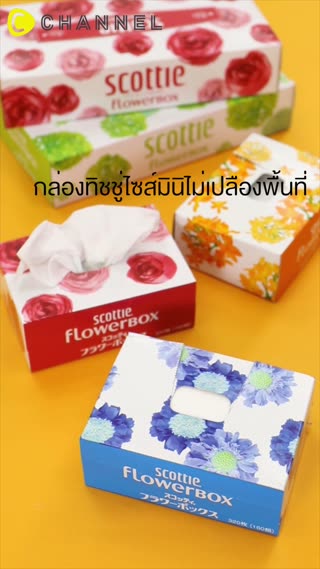 ประหยัดพื้นที่! ด้วยกล่องทิชชู่ย่อส่วน 