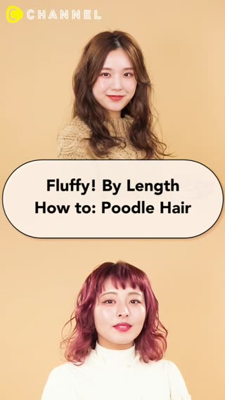 "Poodle Hair” for Different Lengths! 