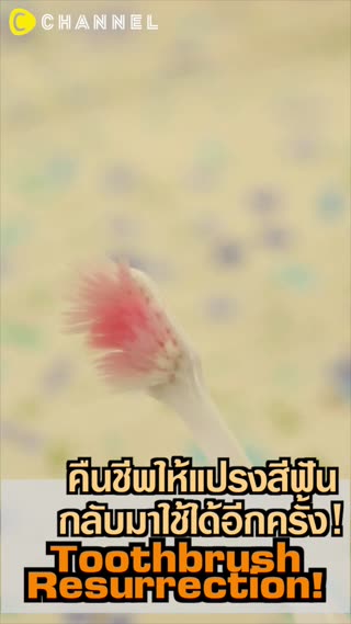 คืนชีพให้แปรงสีฟันกลับมาใช้ได้อีกครั้ง!