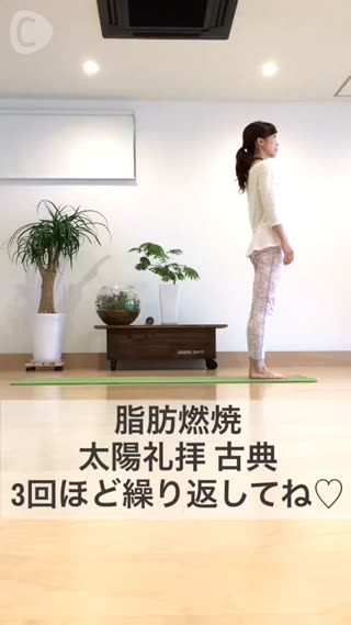 脂肪燃焼 太陽礼拝古典