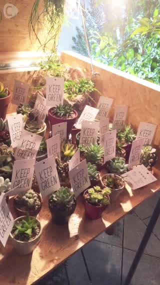 【期間限定】HOLIDAY MARKETが原宿にオープン！