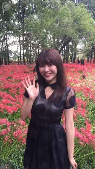 まるで赤いじゅうたん！埼玉・高麗の彼岸花が500万本咲き誇る絶景スポット♡