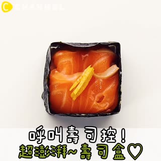 呼叫壽司控！超澎湃～壽司盒♡