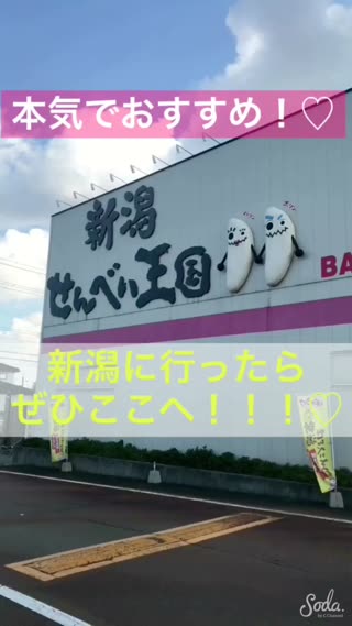 【おすすめ観光スポット!】新潟せんべい王国① myせんべいが作れちゃう！