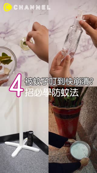 【被蚊子叮到快崩潰?4招必學防蚊法】