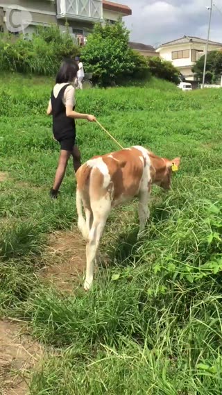 AUTUMN号第3回　緑の中を、子牛ちゃんと駆け抜けるゆら！猛ダーーッシュ!