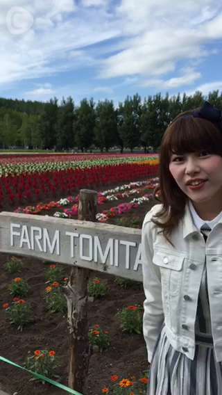 北海道女子旅記第2弾☆大自然を堪能♪ファーム富田のお花畑