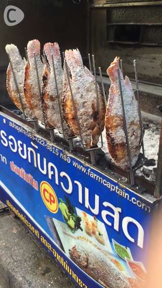 【Thailand】Let's eat Thai street foods!