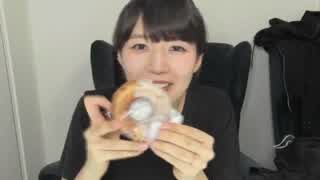 セブンのドーナツ紹介